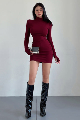 Mock Neck Long Sleeve Mini Dress Club Party Dresses