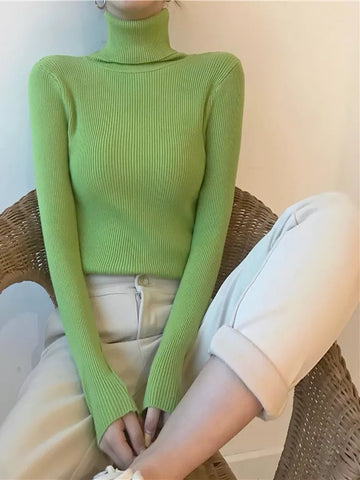 Turtleneck Slim Soft Knit Sweater