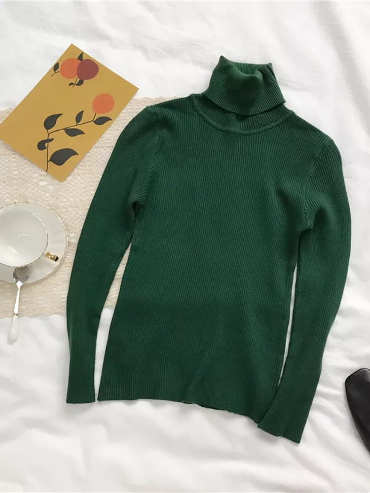 Turtleneck Slim Soft Knit Sweater