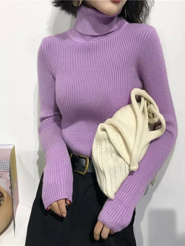 Turtleneck Slim Soft Knit Sweater