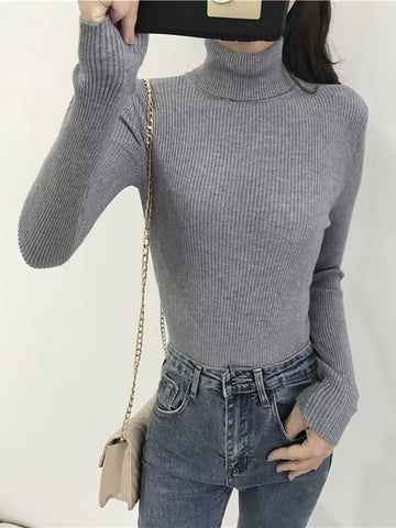 Turtleneck Slim Soft Knit Sweater