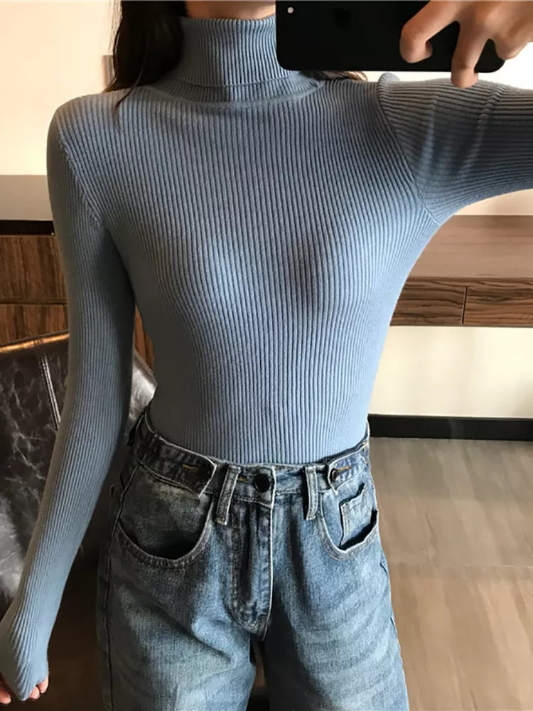 Turtleneck Slim Soft Knit Sweater