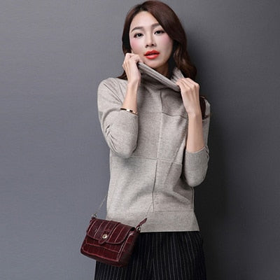 Casual Daily Winter Clothing Turtleneck Sweaters