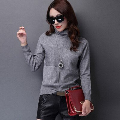 Casual Daily Winter Clothing Turtleneck Sweaters