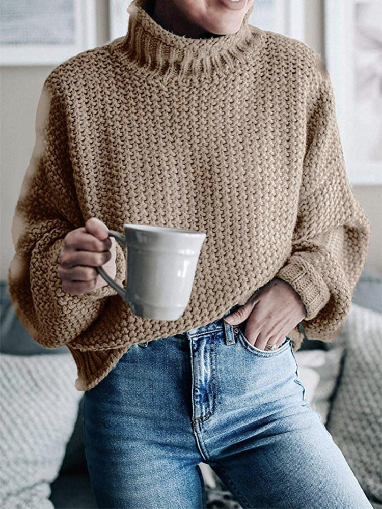 Elegant Basic Thick Sweaters