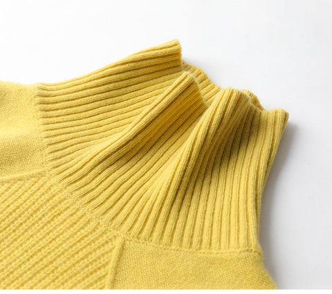 Autumn Winter Plus Size Soft Turtleneck Sweaters