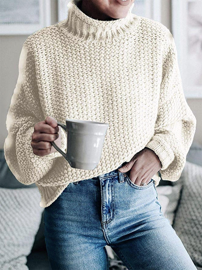 Elegant Basic Thick Sweaters