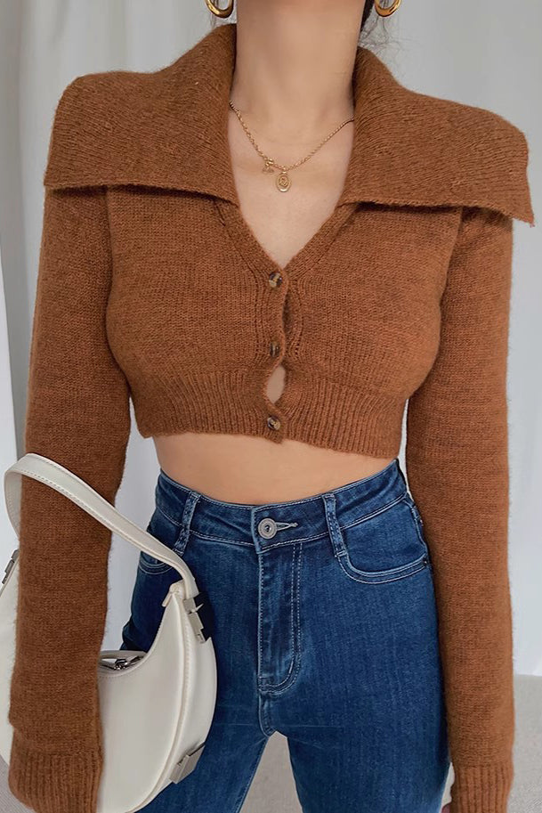 Lapel Neck Buttoned Front Crop Sweater