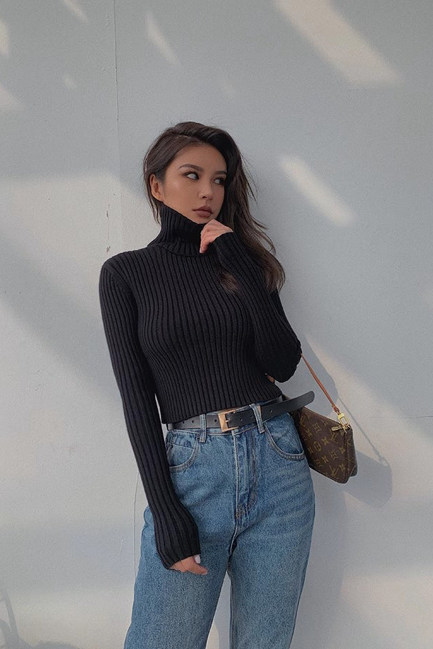 Mock Neck Rib-knit Long Sleeve Crop Sweater