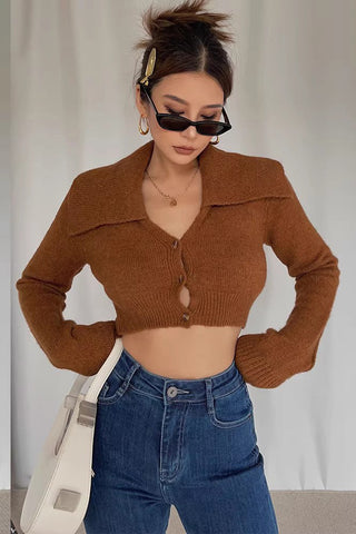 Lapel Neck Buttoned Front Crop Sweater