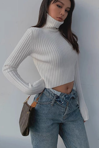 Mock Neck Rib-knit Long Sleeve Crop Sweater