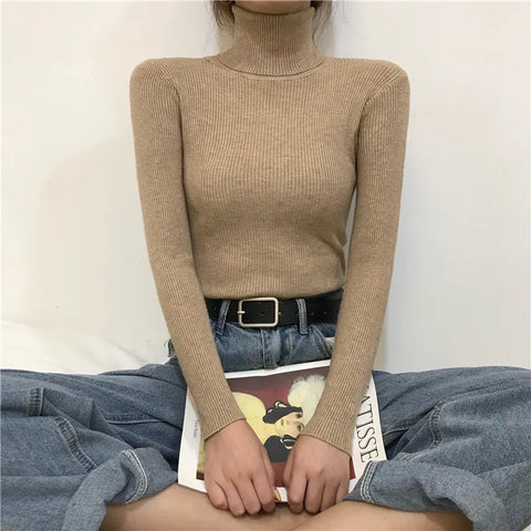 Soft Long Sleeve Turtleneck Sweaters