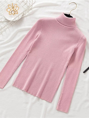 Slim Fit Turtleneck Tight Sweater