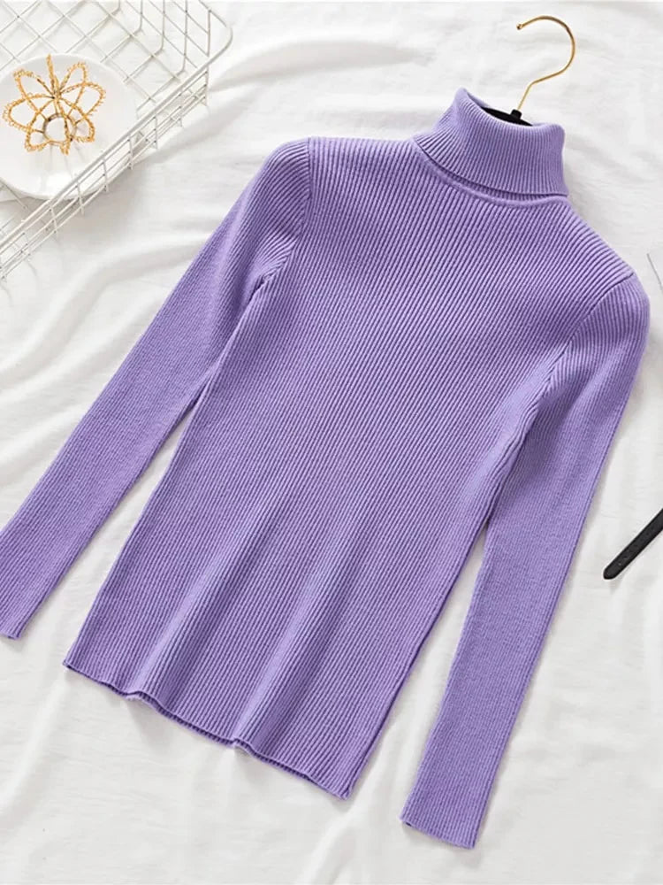 Slim Fit Turtleneck Tight Sweater