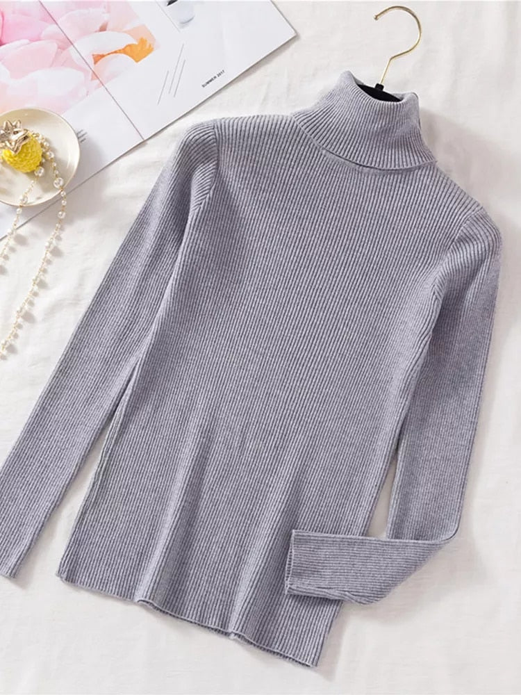 Slim Fit Turtleneck Tight Sweater