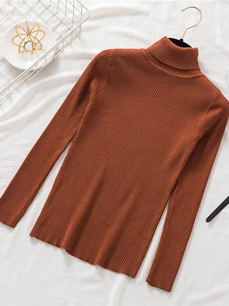 Slim Fit Turtleneck Tight Sweater