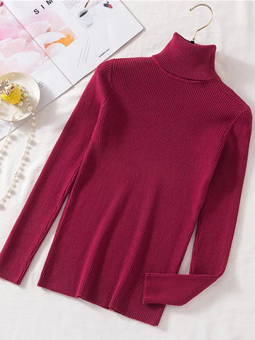 Slim Fit Turtleneck Tight Sweater