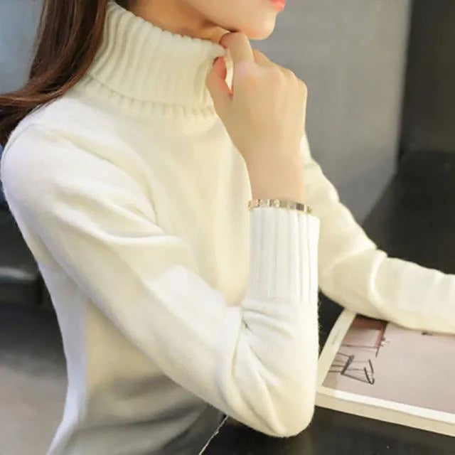 Turtleneck Thick Knitted Sweaters