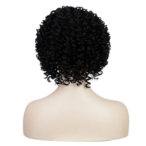 short curly kinky wig