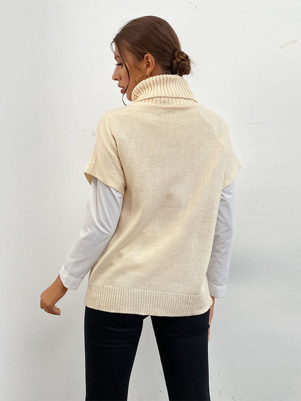 Solid Color Turtleneck Sweater