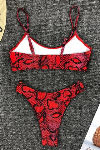 Bikini-Set mit Leopardenmuster (mehrfarbig)