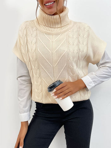 Solid Color Turtleneck Sweater