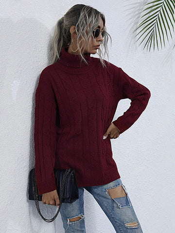 Solid Color Turtleneck Knit Sweater