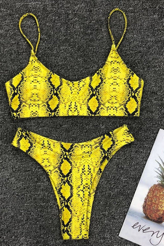 Bikini-Set mit Leopardenmuster (mehrfarbig)