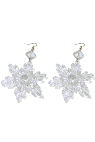 Transparent Snow Earrings