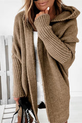 Temperament Commuter Bat-Shaped Hooded Sweater