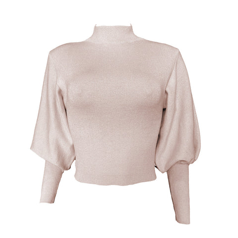 Mickaela Knit Turtleneck Sweater