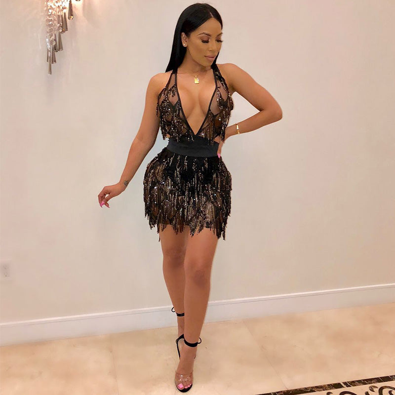 Bonnie Tassel Sequin Bodycon Dress
