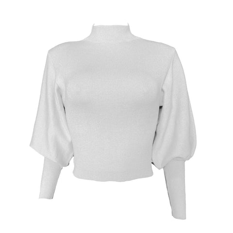 Mickaela Knit Turtleneck Sweater