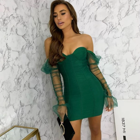 Arletta Sexy Mesh Puff Sleeve Dress