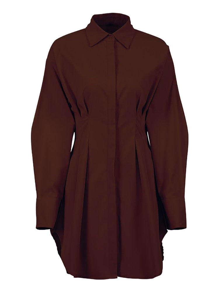 Elletra Pleated Shirt Dress